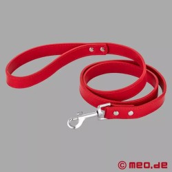 Laisse pour dog Bad Puppy