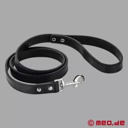 Laisse pour dog Bad Puppy