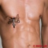 Dragon Claw du Dr. Sado