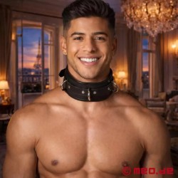 Collier de cuir BDSM Amsterdam noir