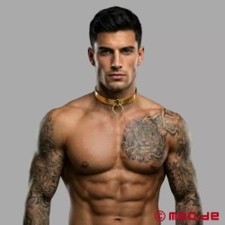 Collier de bondage doré, le O