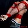 Corde de bondage rouge en coton