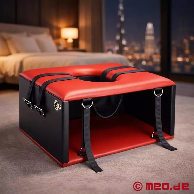The Rimming Chair – Face Sitting Box