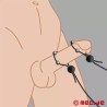 Boucles péniennes pour l’électrosexe