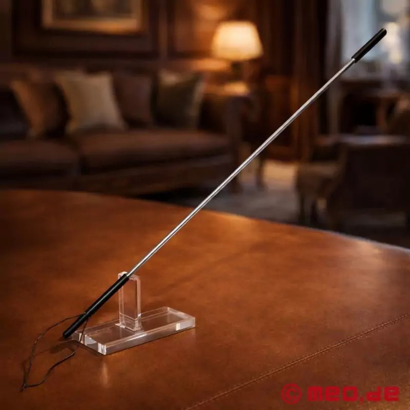 Cravache BDSM de luxe en métal - HURTME