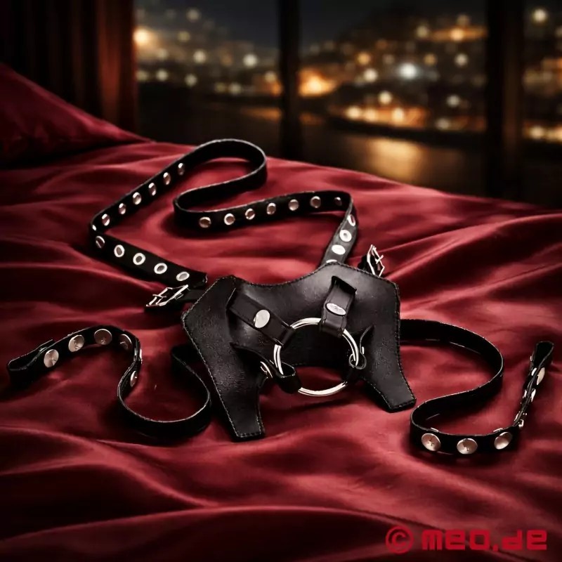 Strap-on avec ceinture de chasteté NoPacha