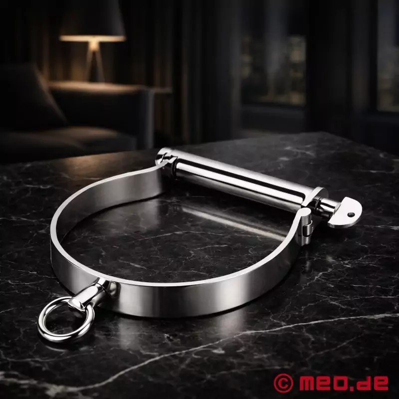 Collier BDSM en acier Style Darby