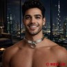 Collier BDSM en acier Style Darby