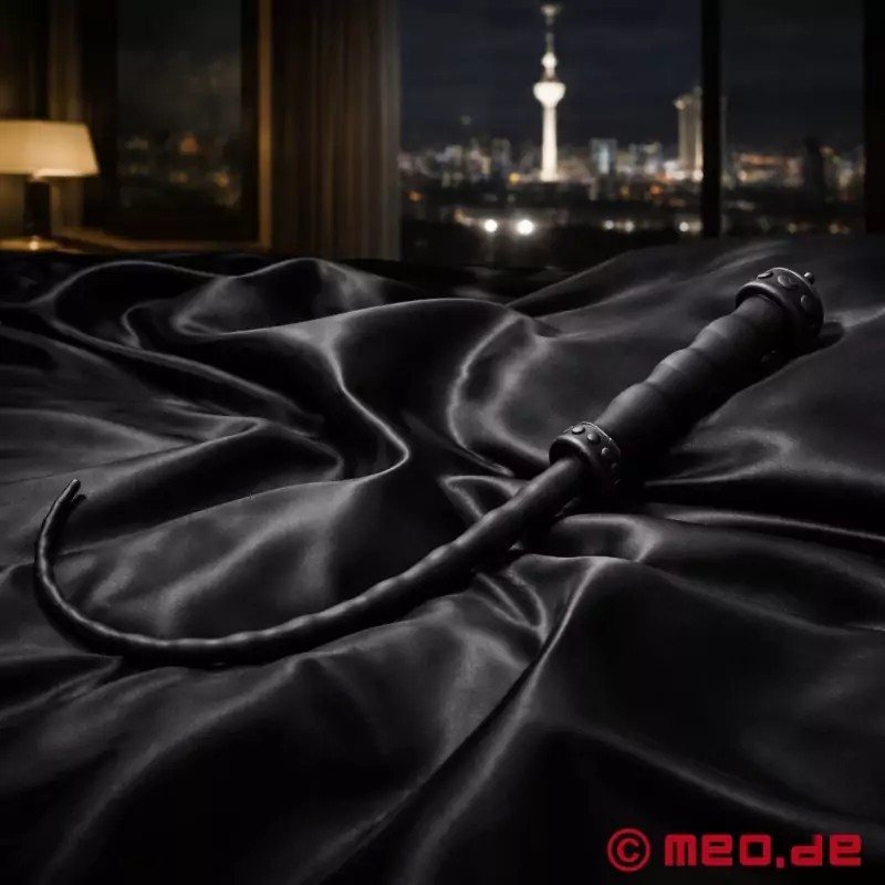 Fouet BDSM flexible en silicone WhipSnake