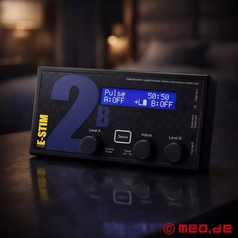 Appareil d'électrostimulation 2B d'E-Stim Systems