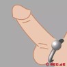 Anneau pénien en acier inox avec boule