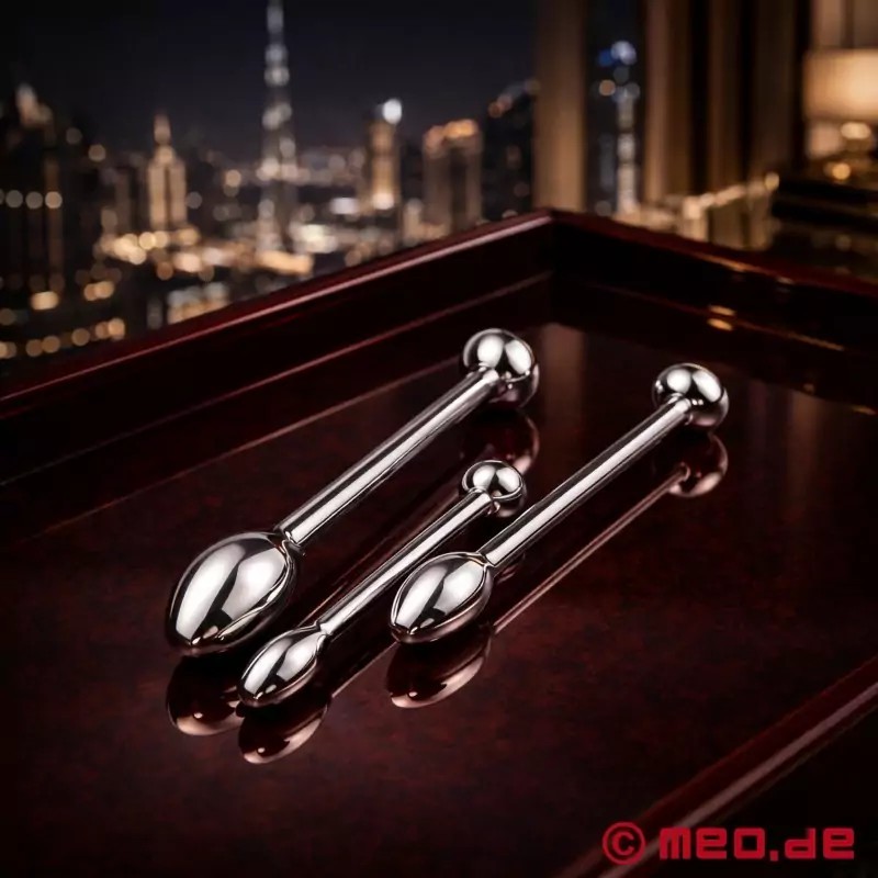 Set Plug pour pénis en acier inox - Hardcore Stallion