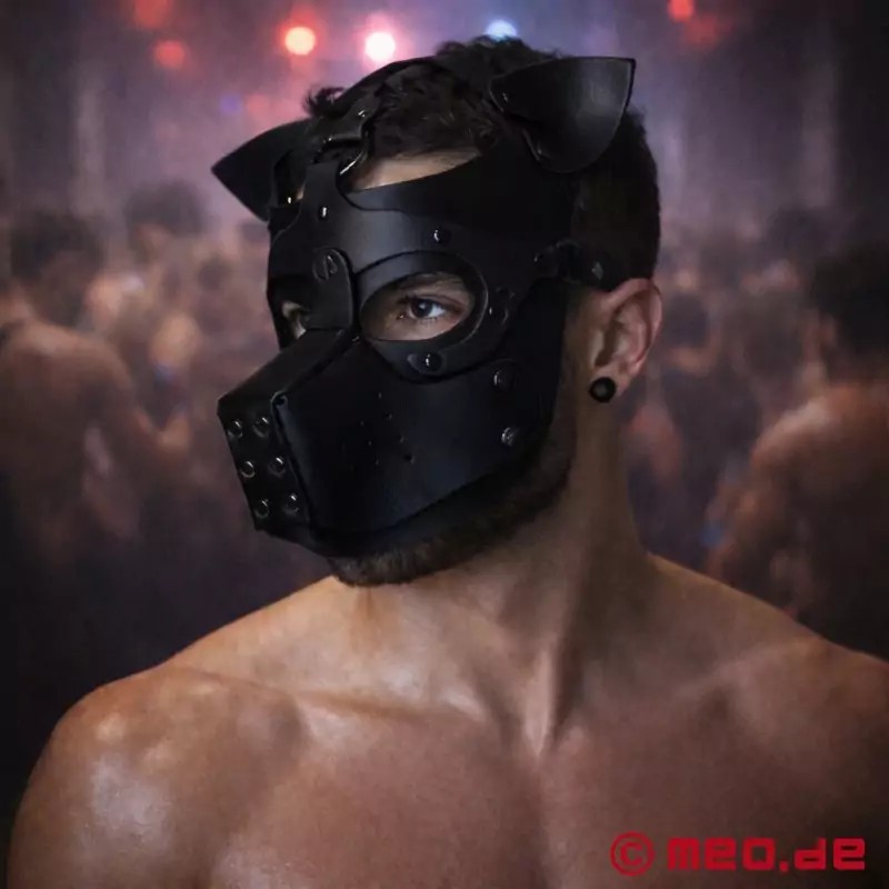 Playful Pup Hood - noir