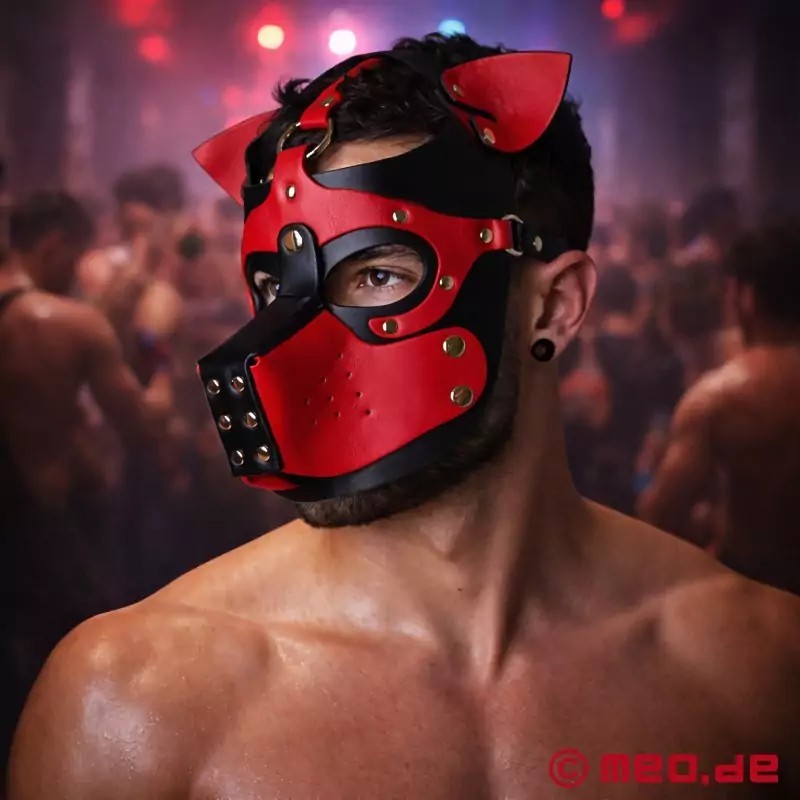 Playful Pup Hood - rouge