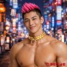 Collier BDSM Spartacus™ - doré