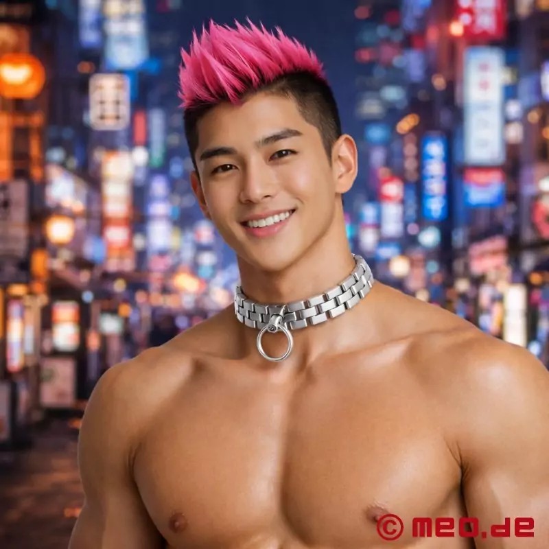 Collier BDSM Spartacus™ - argenté