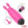 Hopper pink bullet vibrant