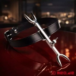 Fourchette d'hérésie - accessoire S&M pour les pros