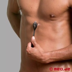 Roulette de Wartenberg DeLuxe Dr. Sado NeuroX²