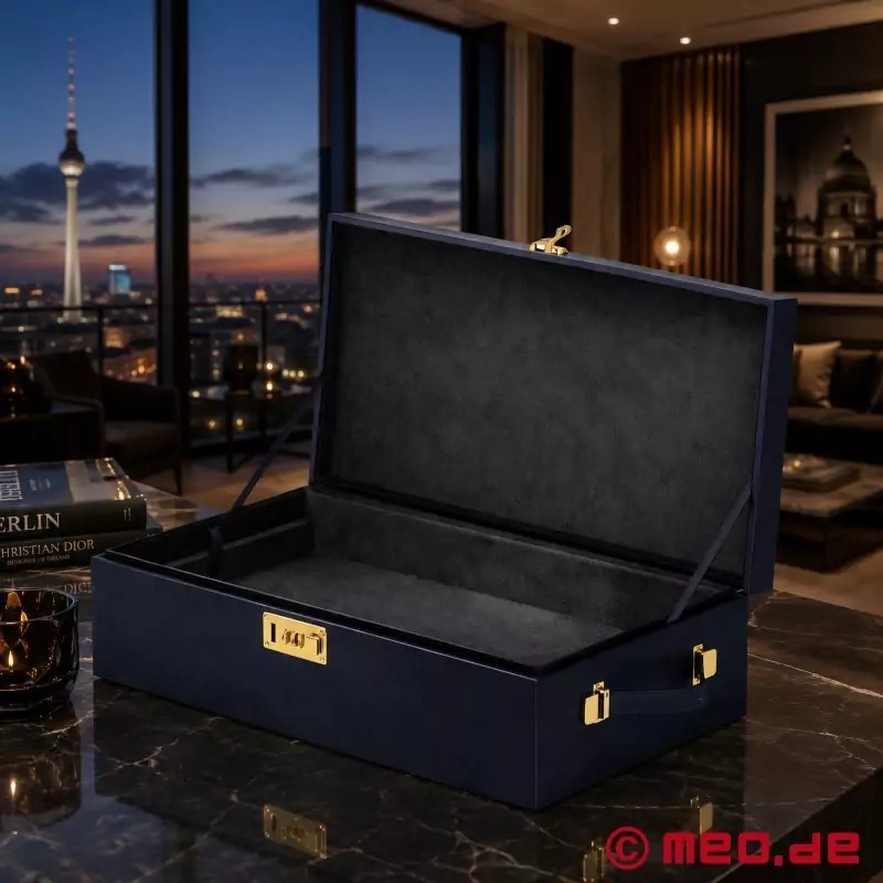 Étui de rangement pour sextoys The Box Édition Prestige