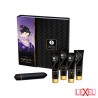 Coffret Geisha Coquine Shunga