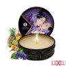 Coffret Geisha Fruits exotiques Shunga