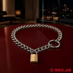 Chaîne de cou et Entrave de bondage AlphaLock