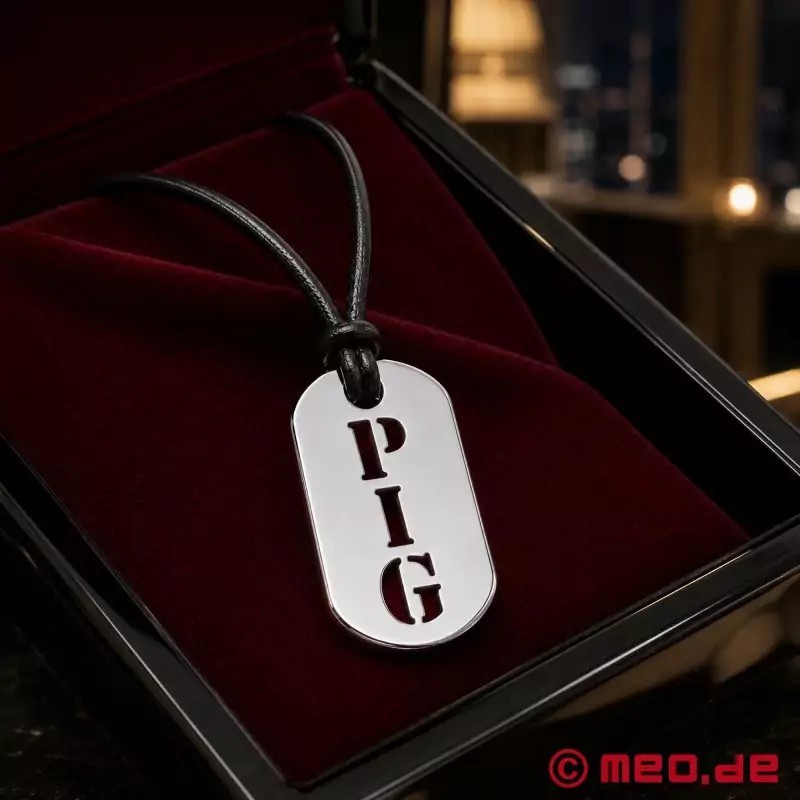 Collier PIG en cuir avec pendentif en acier Kink Fetish Tag