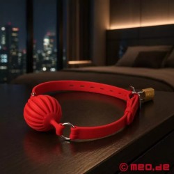 Bâillon-boule rouge en silicone verrouillable GAGLOCK