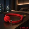Bâillon-boule rouge en silicone verrouillable GAGLOCK