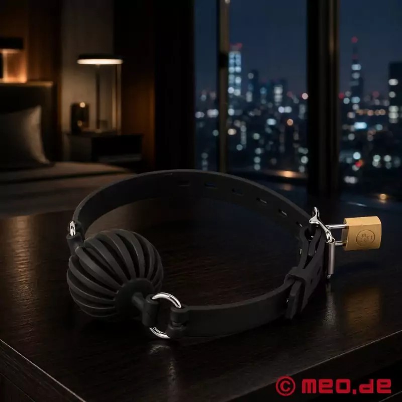 Bâillon-boule noir en silicone verrouillable GAGLOCK