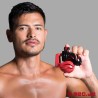 Ceinture de chasteté pour pénis et testicules Balls In - NoPacha