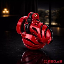 Ceinture de chasteté pour pénis et testicules Balls In - NoPacha