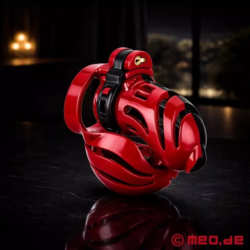 Ceinture de chasteté pour pénis et testicules Balls In - NoPacha