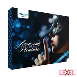Kit plaisirs incroyables ToyJoy