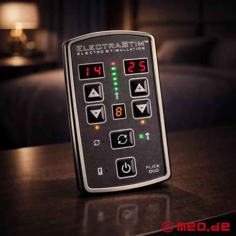 Appareil d'électrostimulation Flick Duo EM80-E ElectraStim