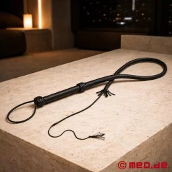 Fouet BDSM Single Tail