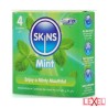 Préservatifs Menthe Premium Skins