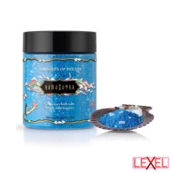 Sels de bain Trésors de la mer Kamasutra