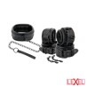 Collier, 4 entraves, laisse Darkness