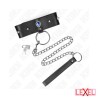 Collier avec diamant bleu et laisse kink