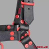 Harnais en cuir - Fetish Gear - Noir Rouge