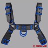 Harnais en cuir - Fetish Gear - Noir Bleu