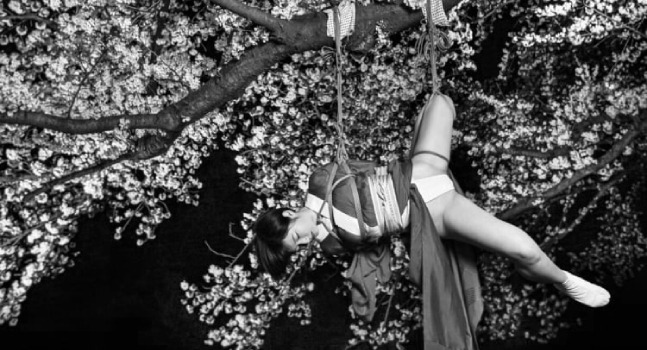 Découvrez l'art captivant du Shibari : L'union entre beauté, discipline et sensualité